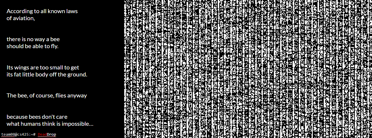 youtube video of encoded message